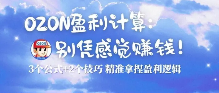 Ozon 盈亏计算：别凭感觉赚钱！3 个公式 + 2 个技巧，精准拿捏盈利逻辑