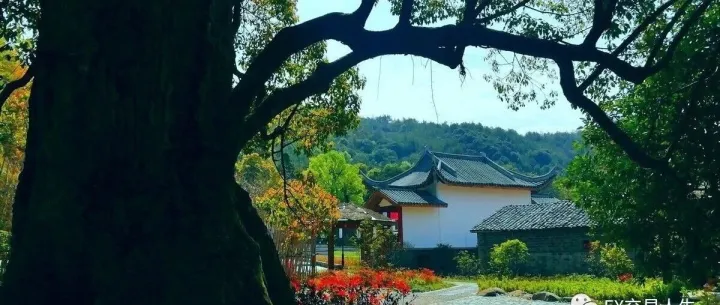 区间突破交易法则详解（交易法） 有图、有案例！