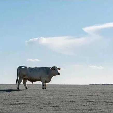 价差网格套利测试与跟踪（12月3日）