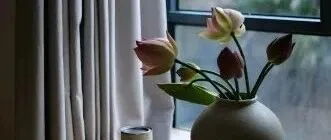 醒着的梦呓——乘物游心之悟