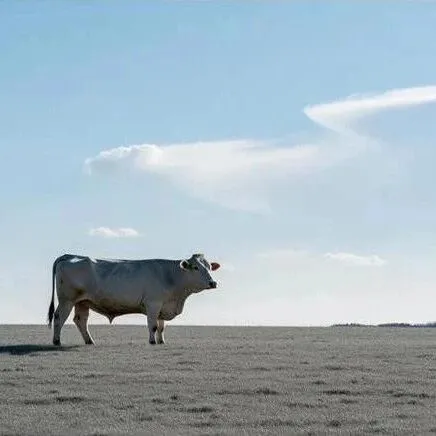 网格测试与跟踪（12月4日）