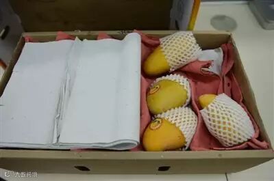 1495084436912256.jpg@!w7