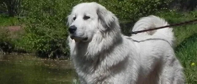 法国00后现在管喝红酒的人都叫“老登”