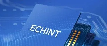 ECHINT卓越封测服务
