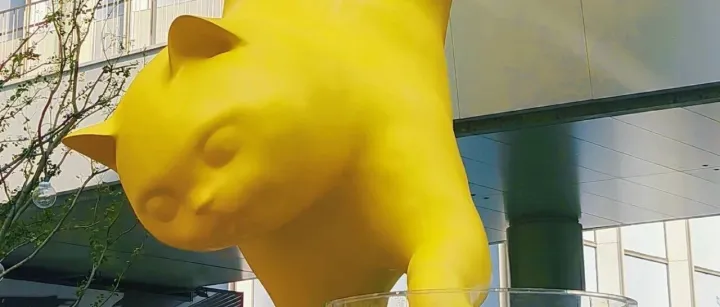 深夜圳好听 | <em>波斯猫</em>眯着它的双眼