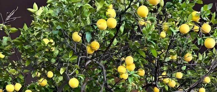 做外贸，不会就学，学了就用，最快成功就是复制成功。