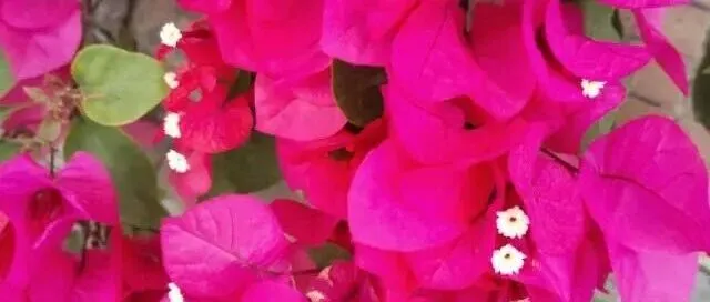 报关后什么时候结汇/收汇