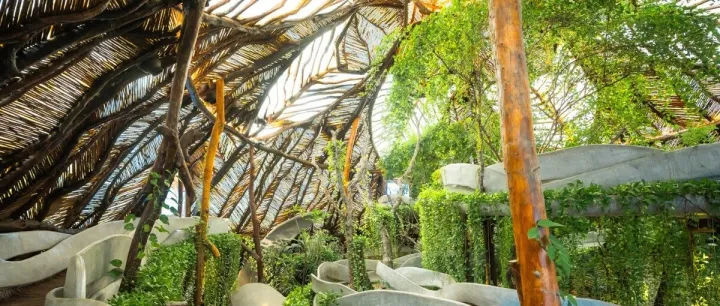 与 Maya Spirits 的 Liam Scully 对话