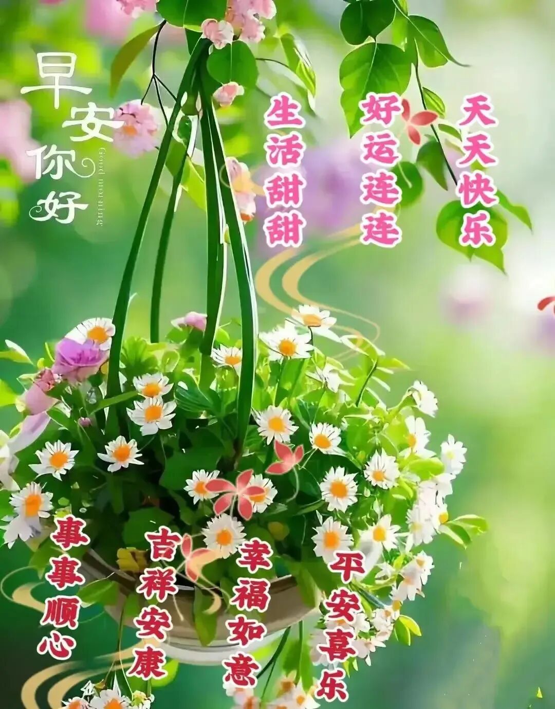 今日周五!周五最新早安问候祝福漂亮图片- 大数跨境