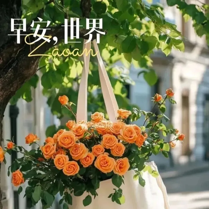 特别漂亮的周六早上好问候图片，温馨早安祝福语句！