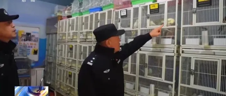 打击危害<em>鸟类</em>等<em>野生</em>动物犯罪 公安部公布5起典型案例