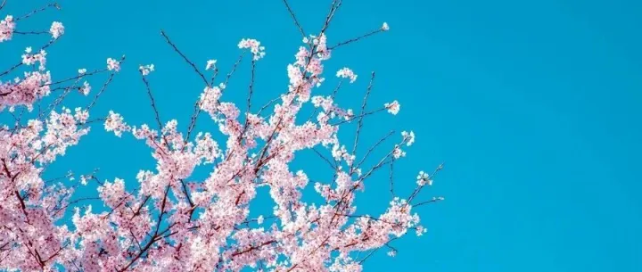 【热点陪伴】红利低<em>波</em>持续<em>回</em>调，<em>怎么办</em>？