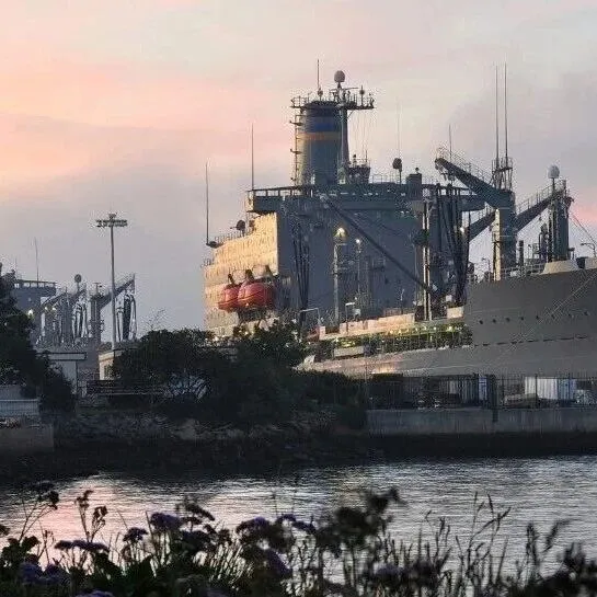 海军<em>直属</em>大学，重磅成果发顶刊