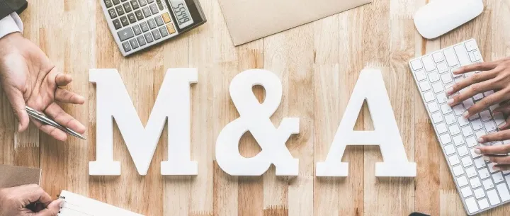 【干货】出海投资必读: 如何巧妙避开新能源项目公司“隐性负债”的陷阱？