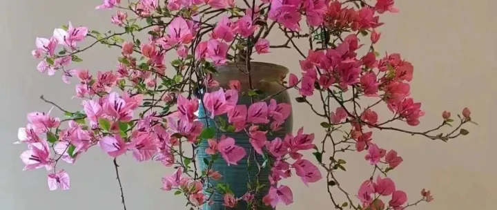 出口退税相关问题答疑