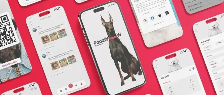 Z Waves｜拿下数百万天使轮融资，00后创业者要用AI重新定义智能宠物项圈，这是为狗狗设计的Apple Watch