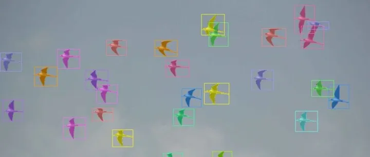 【SAM3教程-1】SAM3 使用文本提示进行图像分割详细步骤与示例【附源码】