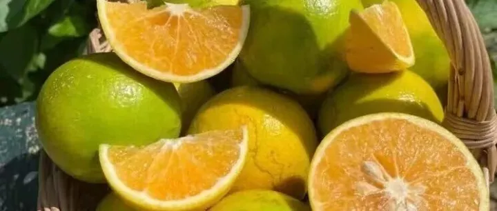 海南大降温，天气越冷，橙味越浓，琼中绿橙赏味期仅一个月，29.9元起包邮到家！