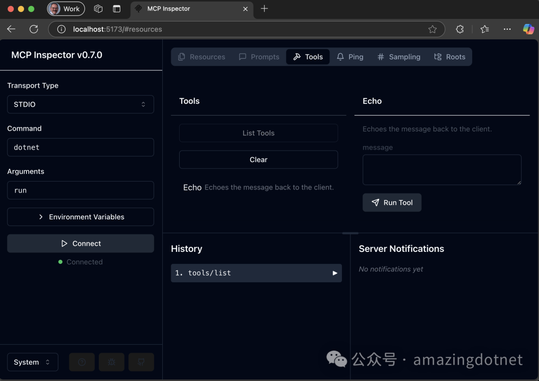 MCP 检查器显示工具