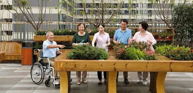 D-医疗养老相关内的花瓣采集图片-柏轩空间设计