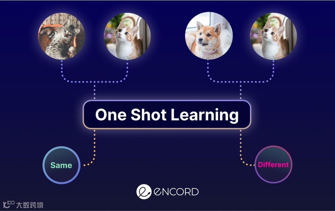 One-Shot Learning in AI - Definition and Examples | Encord