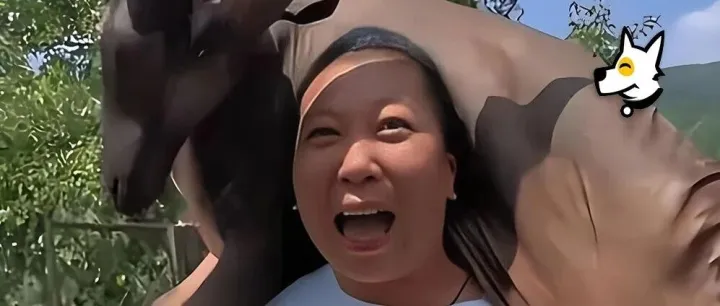 1700万粉“东北雨姐”再被点名，彻底结束了！