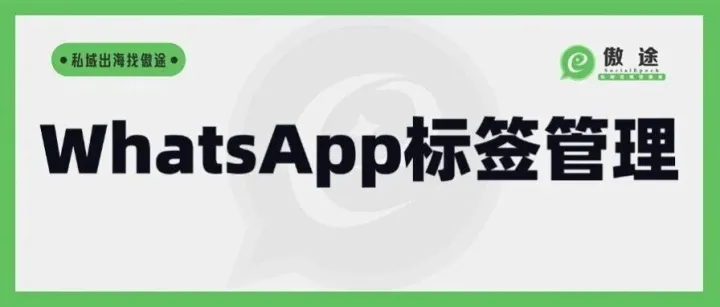 WhatsApp营销妙招拆解——标签分组，把客户成交率提上去
