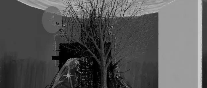 与 Parker Ito 对话