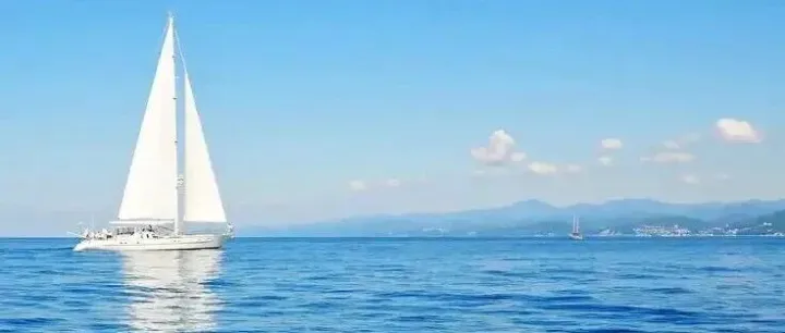 有TikTok卖家单案损失超2300万！AI技术升级诈骗手段