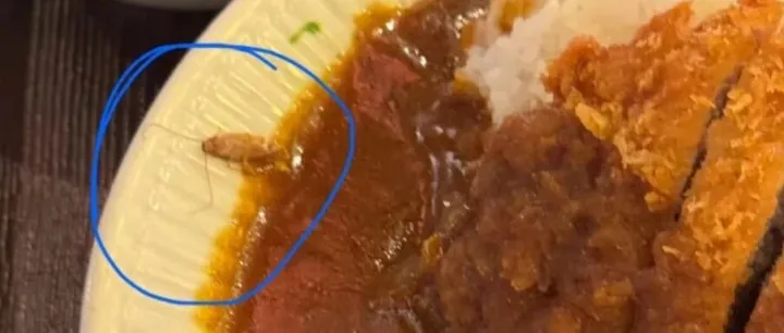 上海一知名连锁餐厅吃出活蟑螂，脚还在爬！商家回应