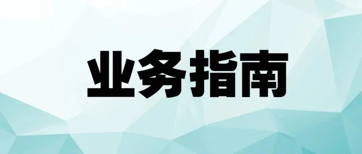 业务指南（<em>2025</em><em>年版</em>）