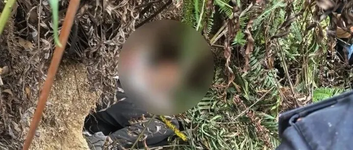 男子在深圳知名景区<em>失</em><em>联</em>！警方连夜进山…