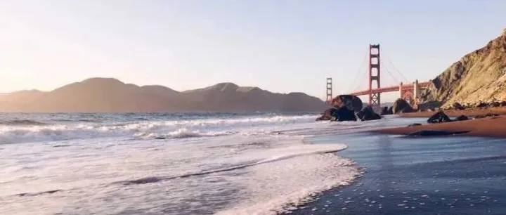 抖音推荐净是“垃圾内容”？这款AI工具让算法秒懂你！