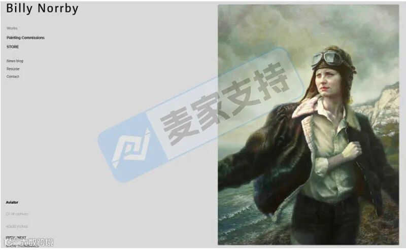 5-cv-14822，女飞行员版权画跨境首维权，跨境卖家注意避雷~"
