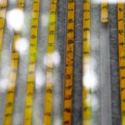 复旦大学研究员蒋文解读海昏简《诗经》