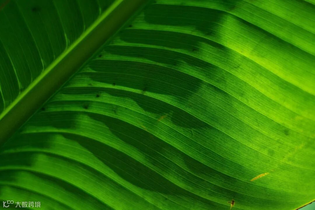 兼顾轻便与性能 佳能EOS R50拍摄体验