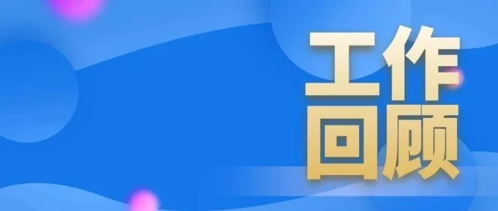 智安协&停车协会工作回顾（2025年11月）