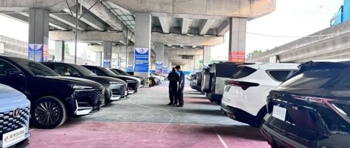 Join the <em>Auto</em> Export Revolution!