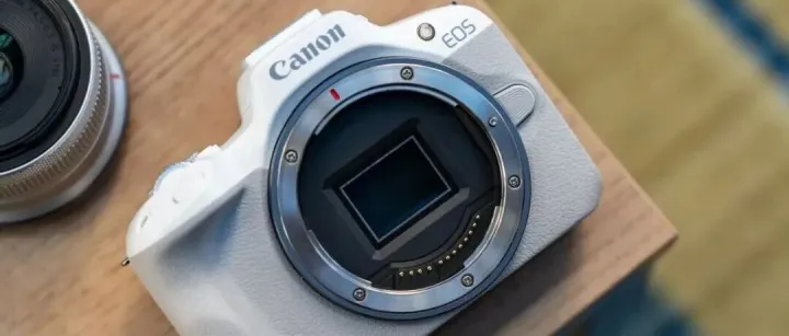 兼顾轻便与性能 佳能EOS <em>R50</em>拍摄体验