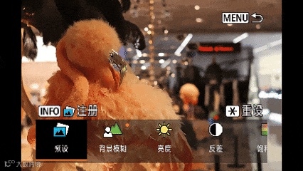 兼顾轻便与性能 佳能EOS R50拍摄体验