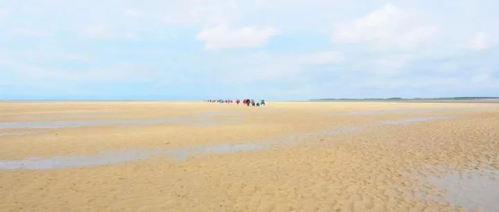 <em>模型</em>、算法、<em>数据</em><em>模型</em>、<em>模型</em>结构到底有什么区别？