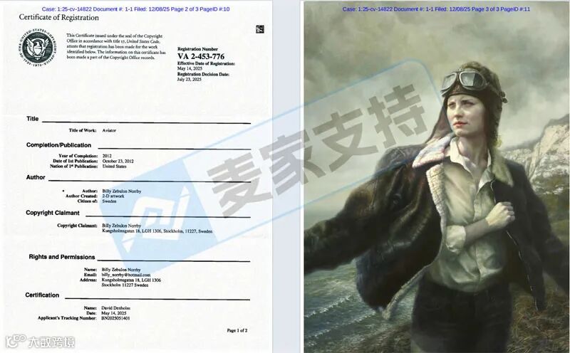 5-cv-14822，女飞行员版权画跨境首维权，跨境卖家注意避雷~"