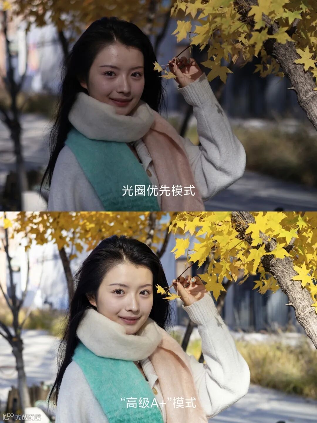 兼顾轻便与性能 佳能EOS R50拍摄体验