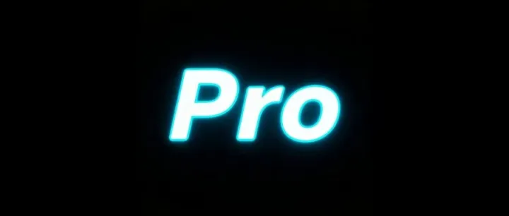 打开即是专业版，永久可用！！