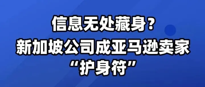 信息无处藏身？新加坡公司成亚马逊卖家“护身符”