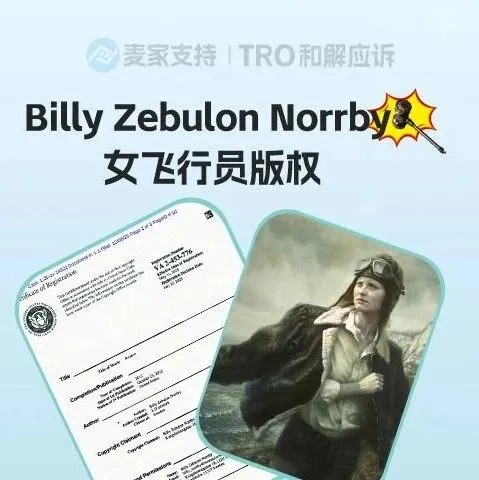 25-cv-14822，女飞行员版权画跨境首维权，跨境卖家注意避雷~