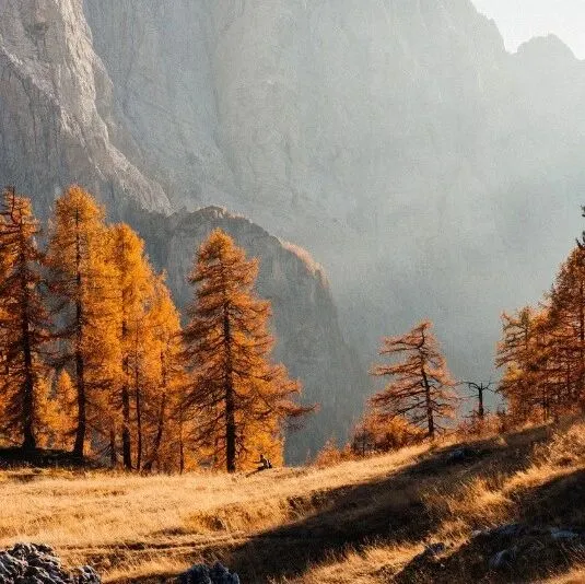 优化搜索系统：平衡速度、相关性和可<em>伸缩性</em>