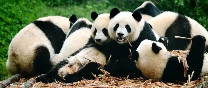 Pandas GroupBy 的 10 个<em>实用技巧</em>