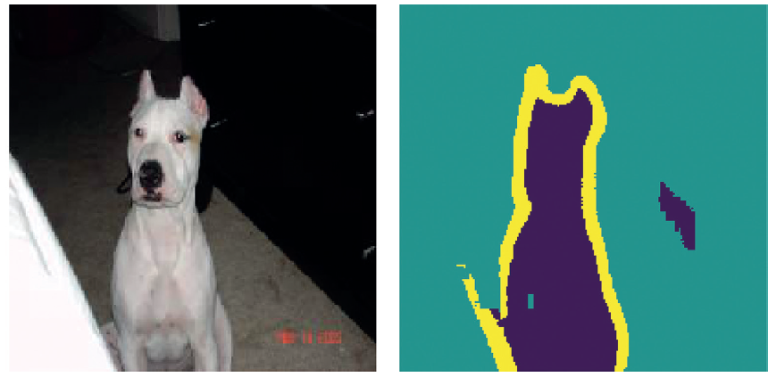 测试图像和预测的分割掩码