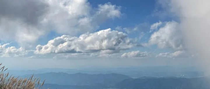 贪心算法详解：让你秒懂的算法入门